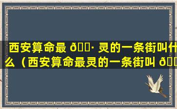 西安算命最 🌷 灵的一条街叫什么（西安算命最灵的一条街叫 🐈 什么来着）